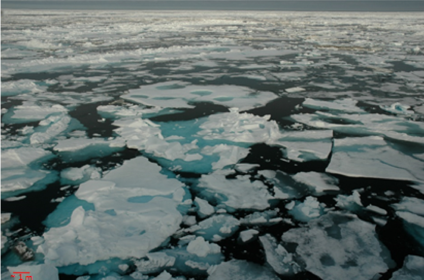 First-year Arctic sea ice at the height of summer melt in the Chukchi Sea (scale ~1 m). PC: Dr. Karen Junge