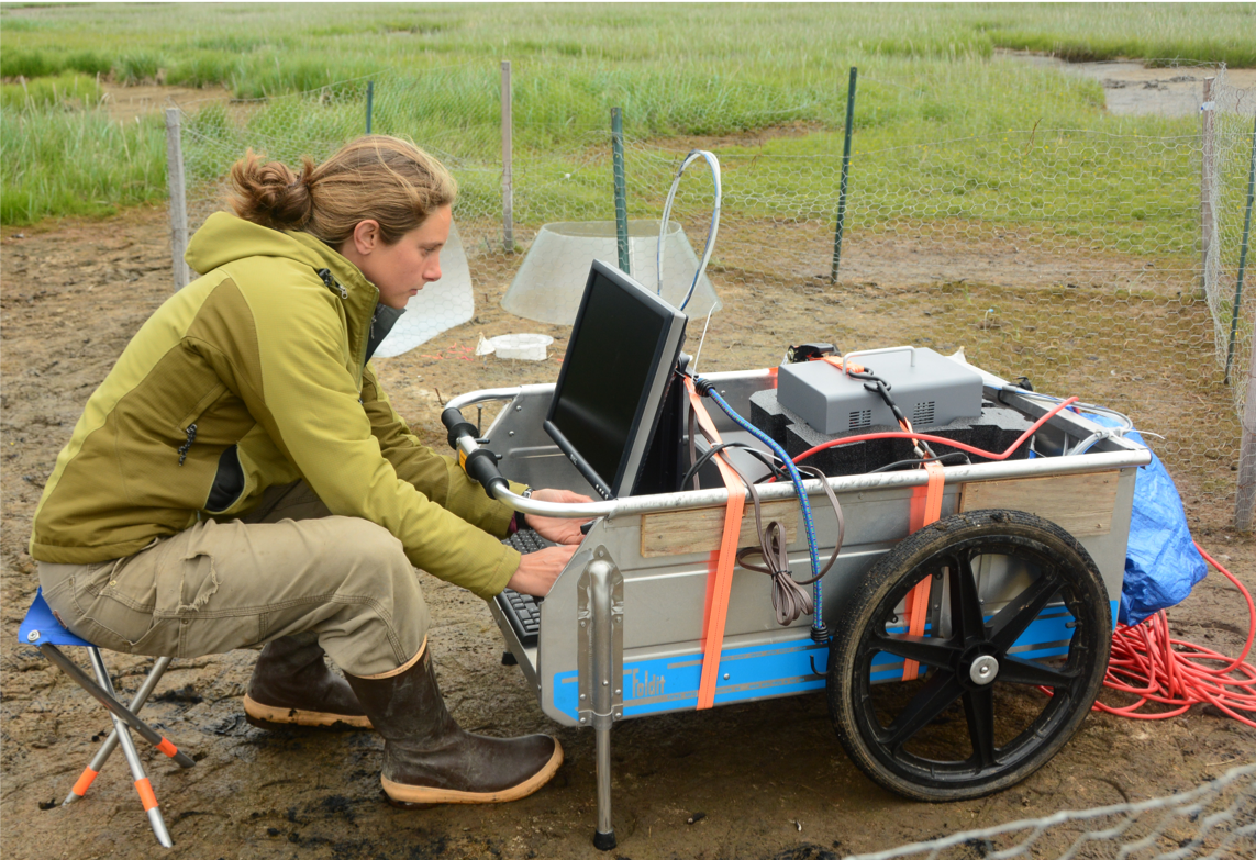 Dr. Kathy Kelsey collecting greenhouse gas data. PC: Ryan T. Choi